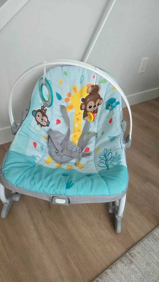 Fisher-Price Infant-to-Toddler Rocker - photo 2