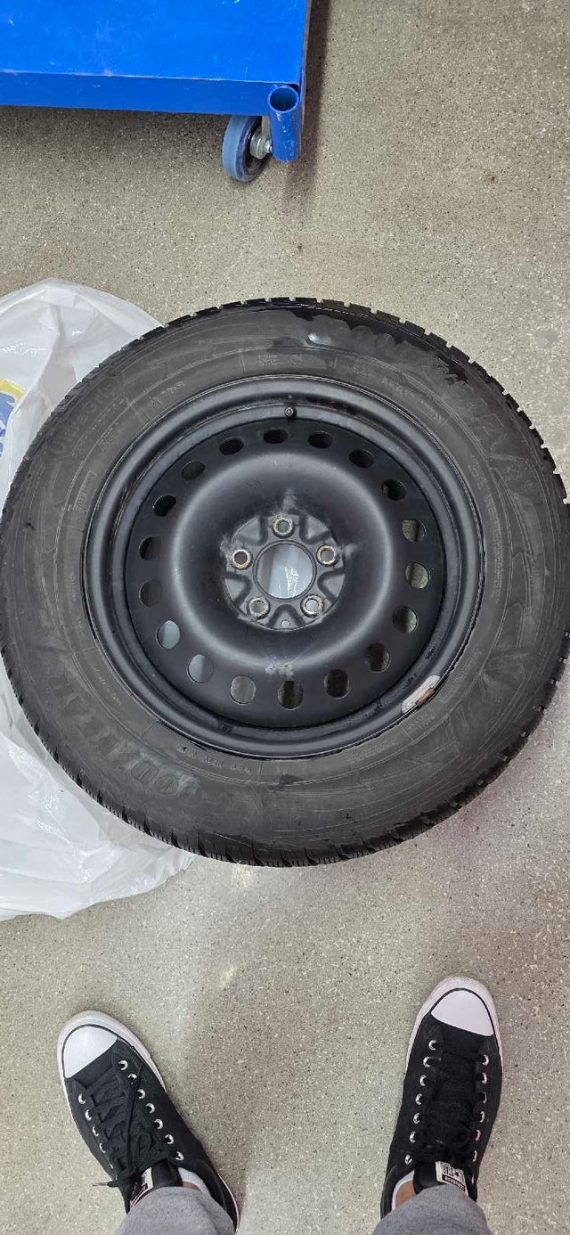 Winter tires on rims