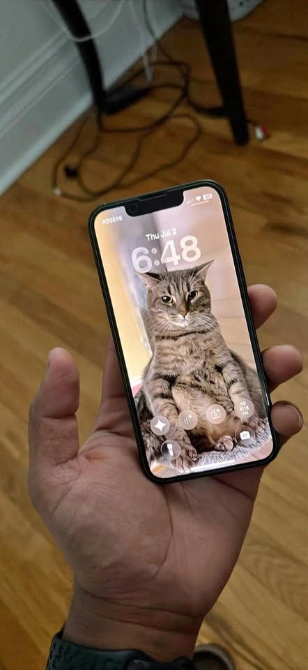 iPhone 13 Mini