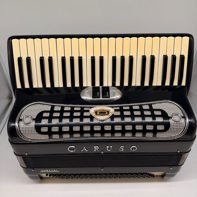 Vintage Caruso Accordion with Case Made in Italy - photo 3