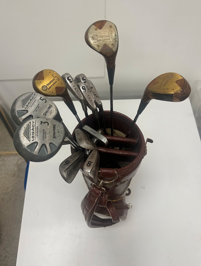 Golf Club Set with Bag – Mixed & Custom Clubs - photo 2