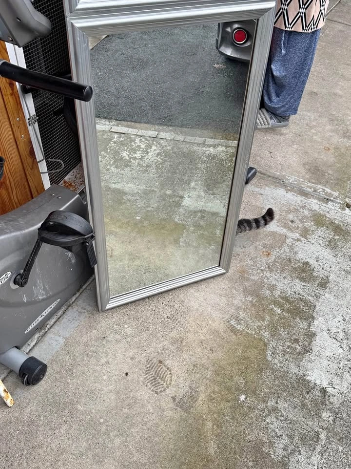 Silver Framed Mirror
