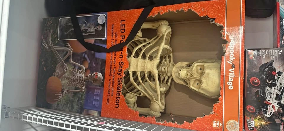 LED pose skeleton decoration full size