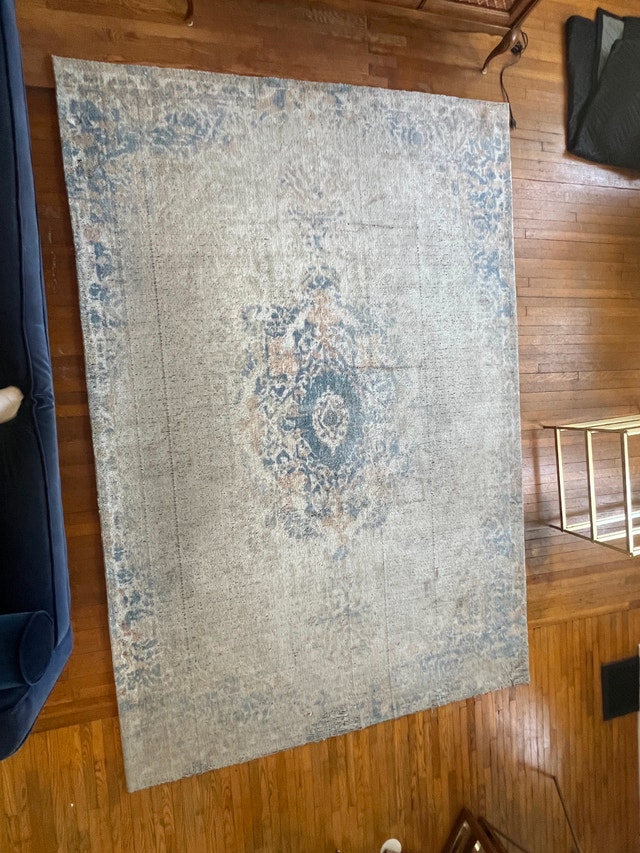 Structube Large Rug for Sale