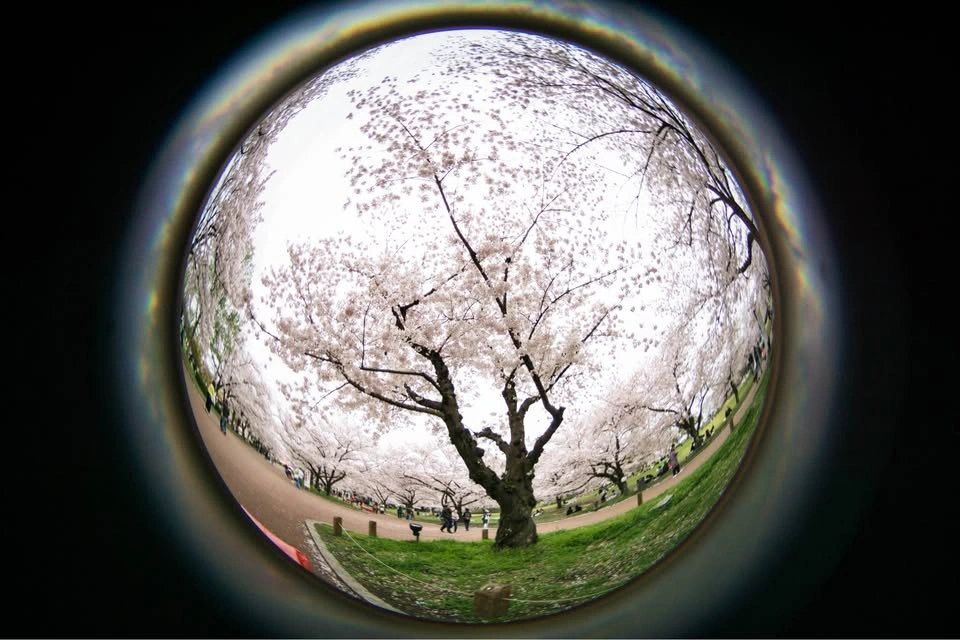 Lensbaby 5.8mm f/3.5 Circular Fisheye - Canon mount - photo 5