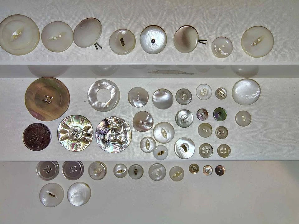 Vintage Mother of Pearl Button Collection