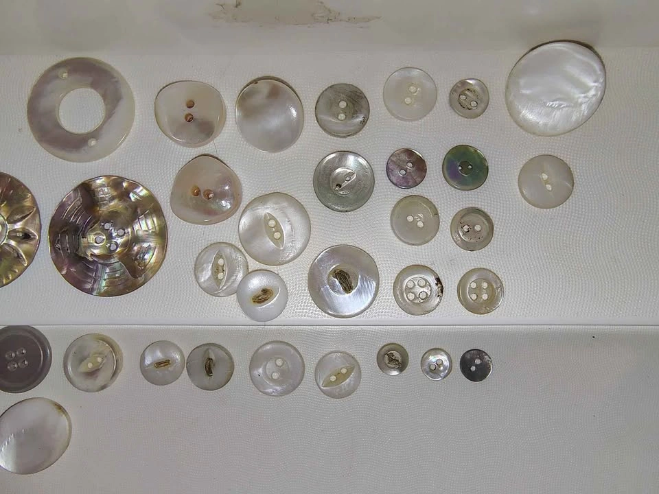 Vintage Mother of Pearl Button Collection - photo 4
