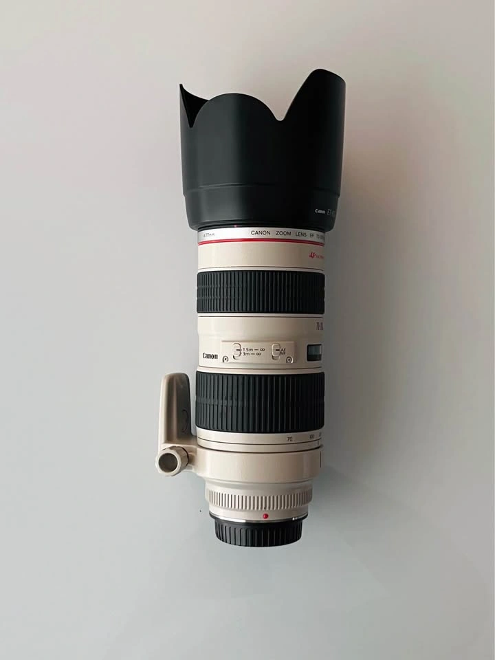 Canon EF 70-200mm f/2.8 L USM Lens - photo 3