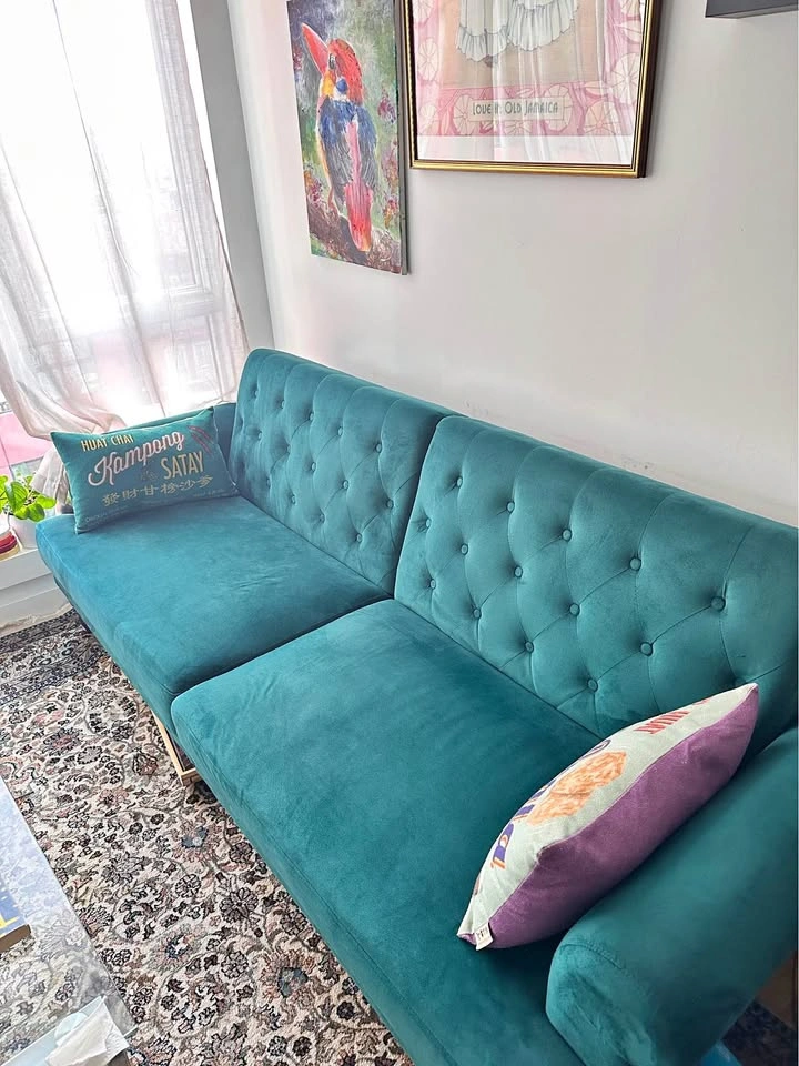 Couch / Sofa Bed