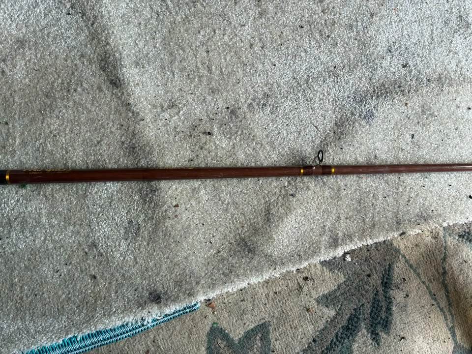 Pro-Glass fishing rod with spinning wheel - photo 4