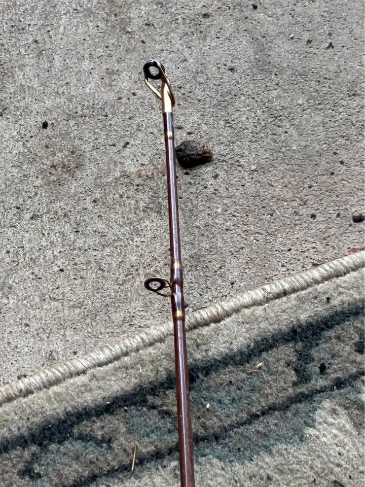 Pro-Glass fishing rod with spinning wheel - photo 5