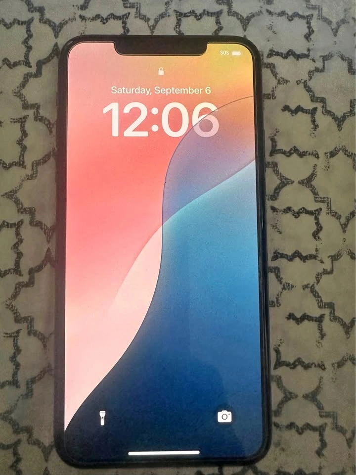 Apple iPhone 11 Pro Max 512 GB (price is firm)