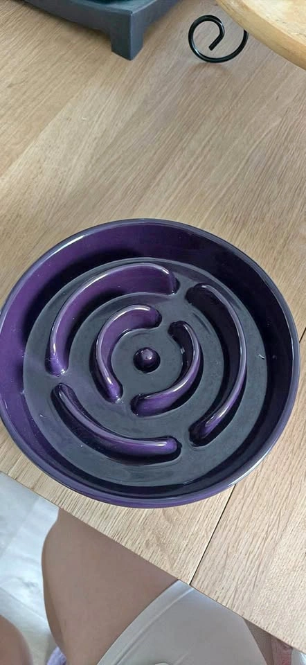 Large pet slow feeding bowl