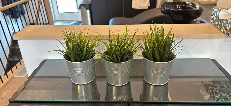 3 artificial grasses in pots for $10
