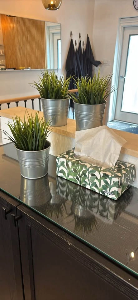 3 artificial grasses in pots for $10 - photo 3