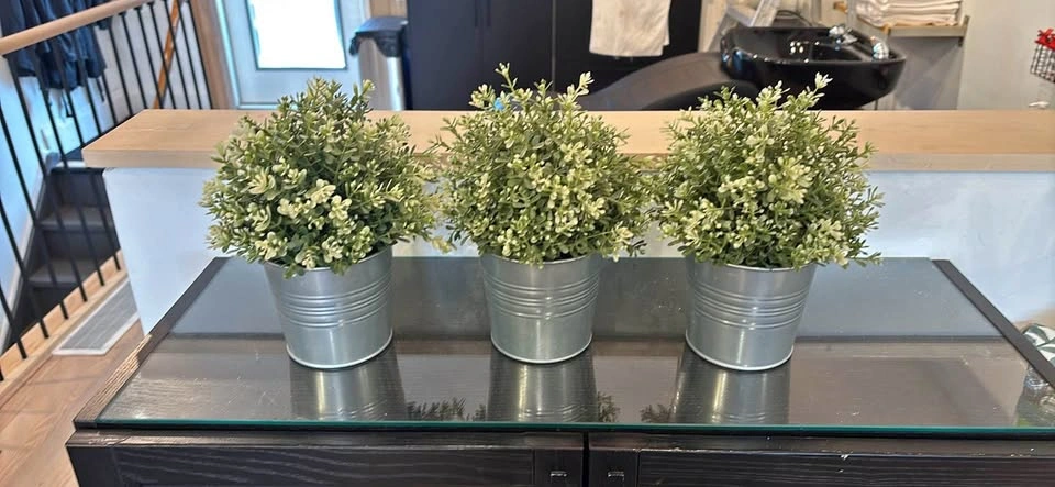 3 artificial plants in pots for $10