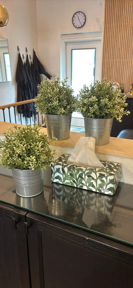 3 artificial plants in pots for $10 - photo 3