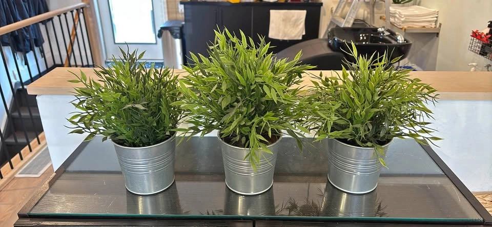 3 artificial plants in pots for $10