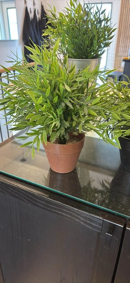 3 artificial plants in pots for $10 - photo 2