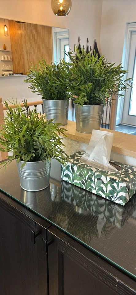 3 artificial plants in pots for $10 - photo 4