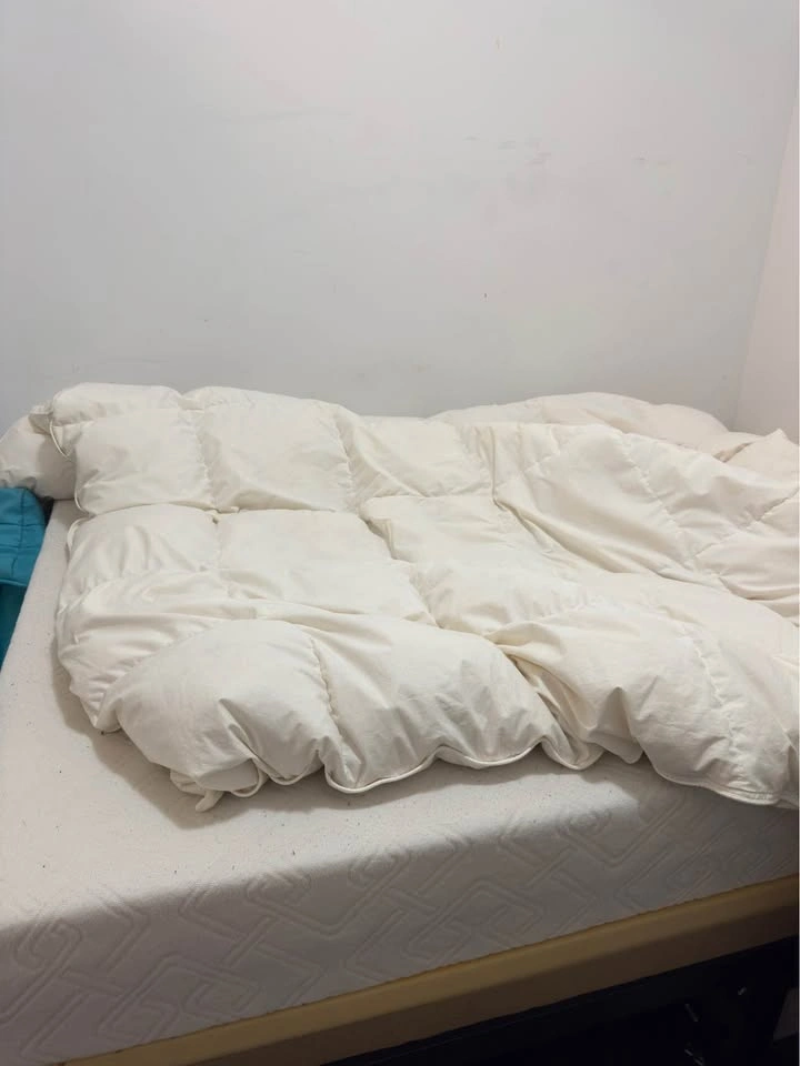 Queen sized bedframe - black - photo 2