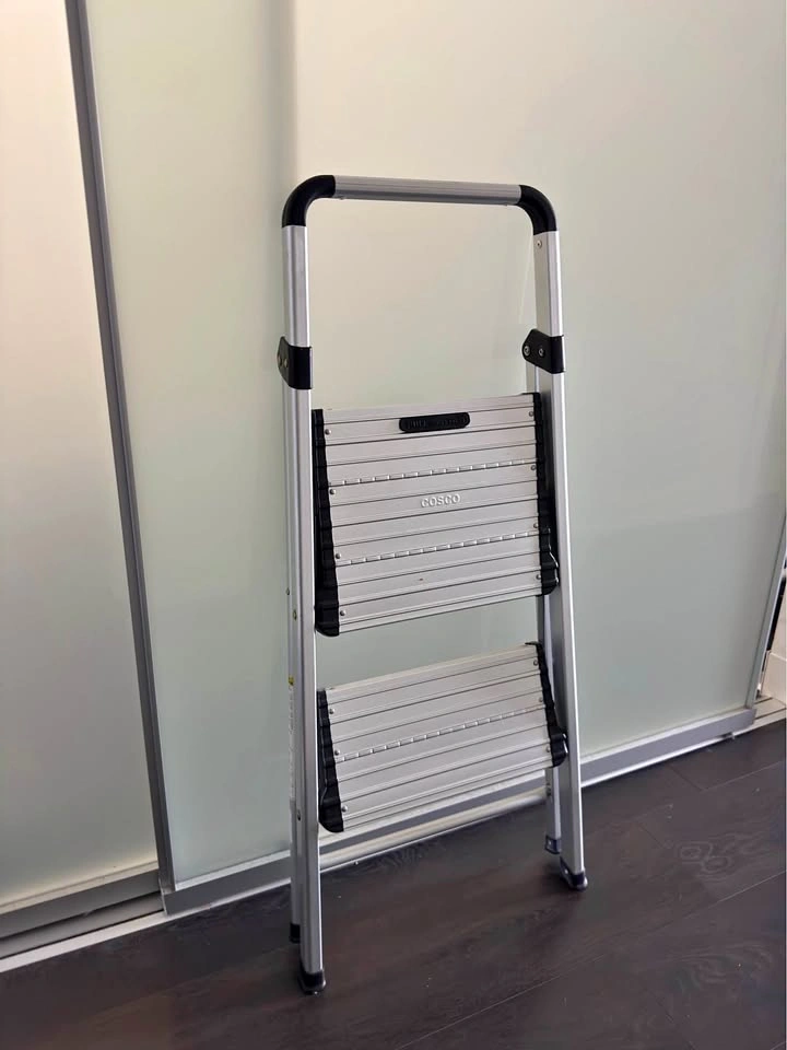 Two step ladder