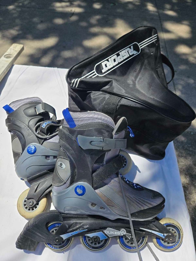 In-LINE SKATES