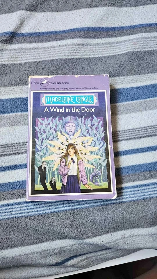 A wind in the door