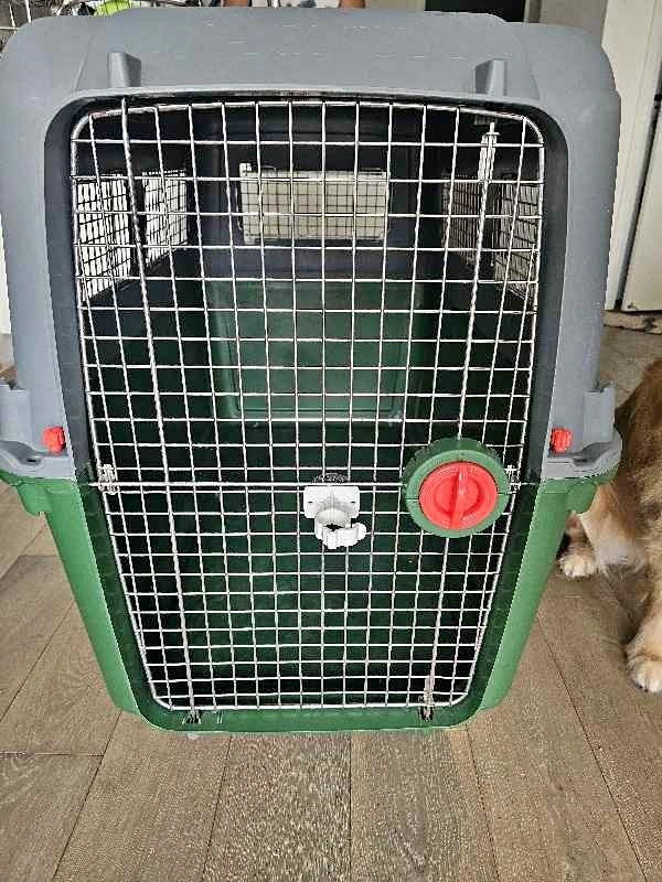 45" Pet travel kennel IATA approved