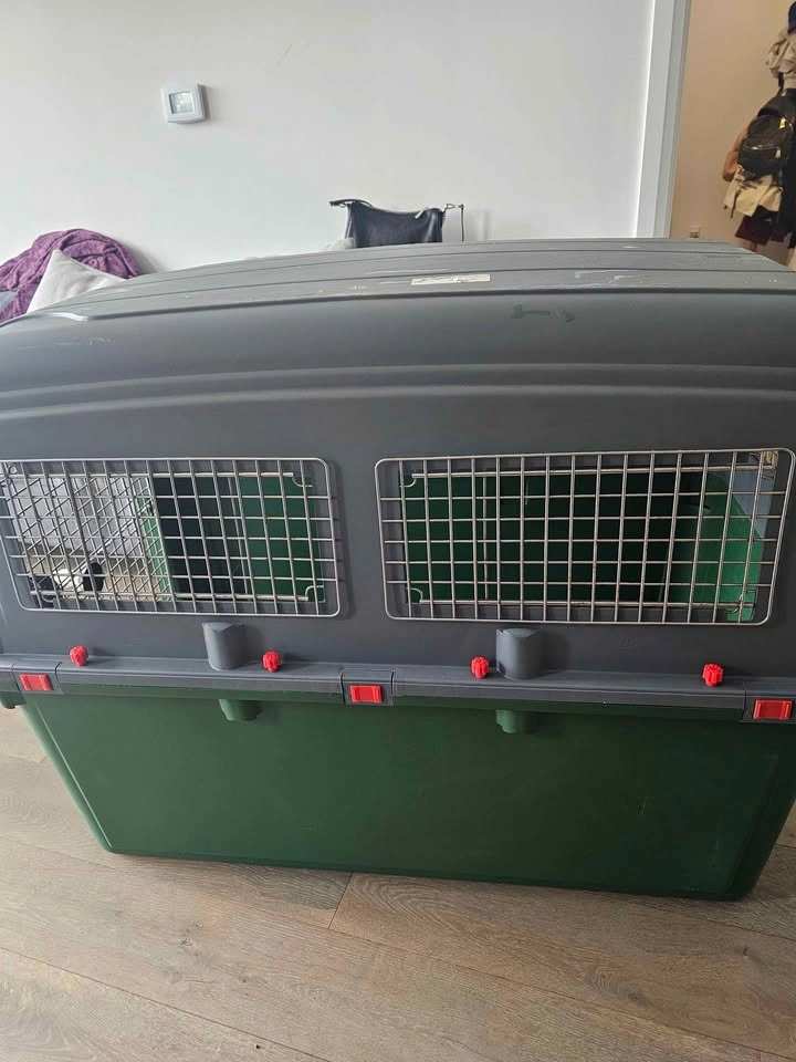 45" Pet travel kennel IATA approved - photo 4