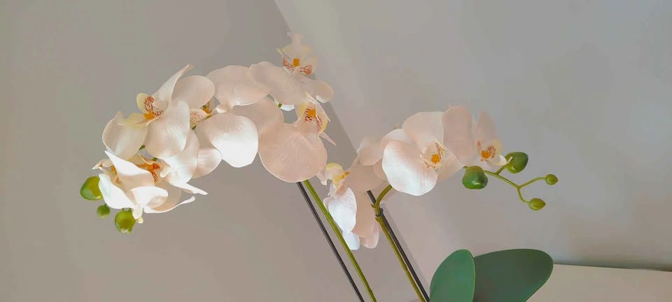 Artificial White Orchid in Stone Pot - photo 5