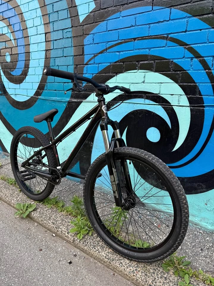 Norco Ryde 24 dirt jump bike