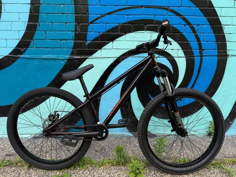 Norco Ryde 24 dirt jump bike - photo 3