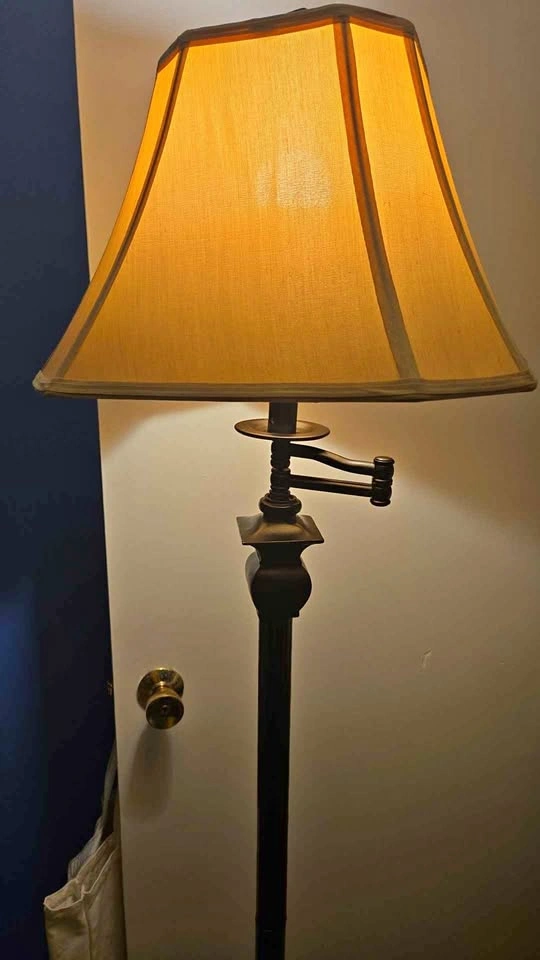 Bronze Swing Arm Floor Lamp