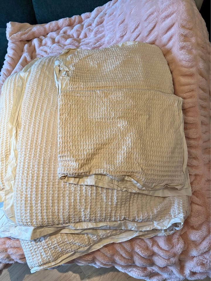 Fox Home Queen Quilt and Pillow Shams