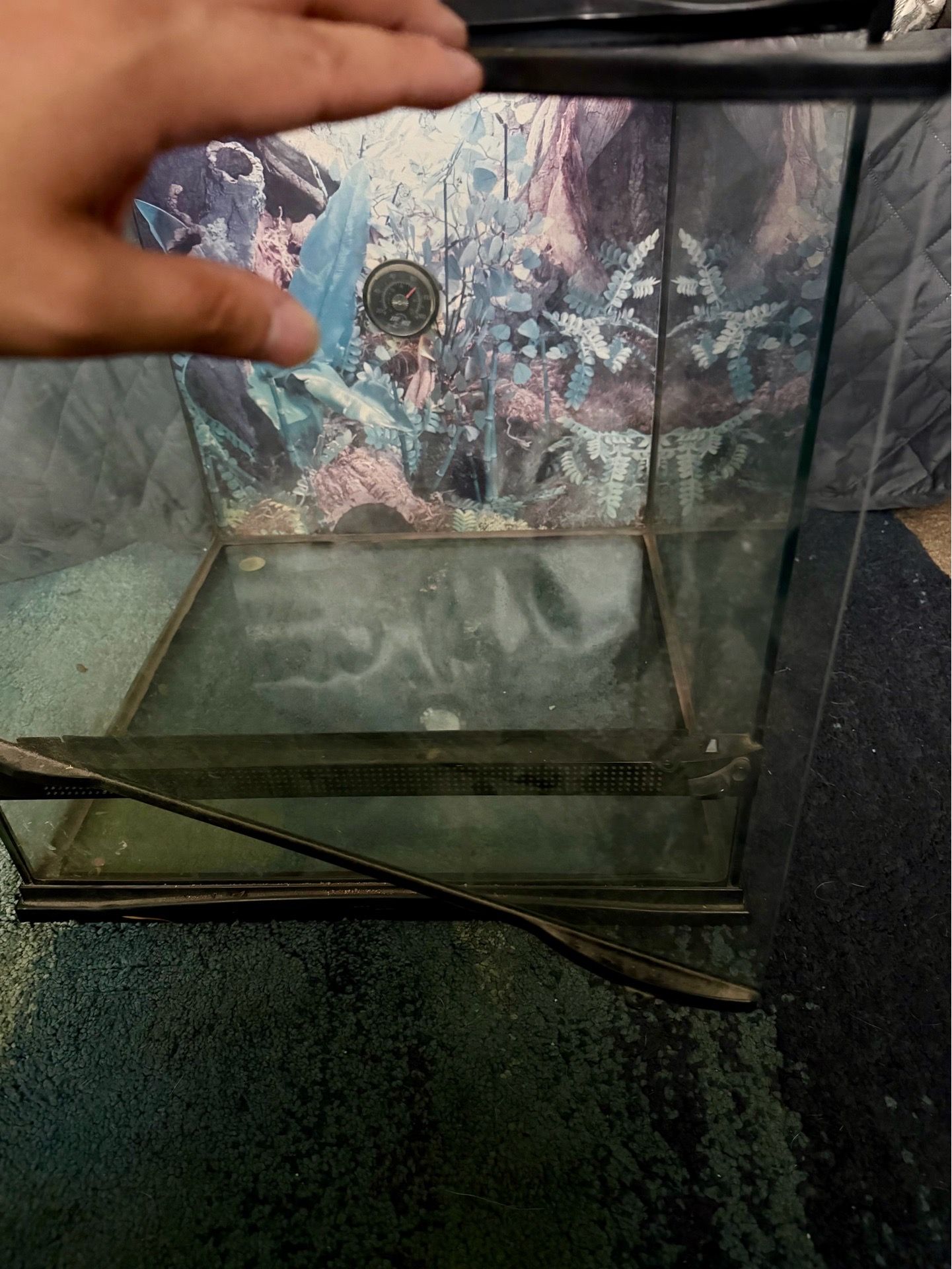 Reptile/fish tank