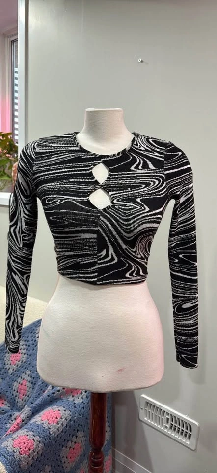 Zara Striped Long Sleeve Crop Top