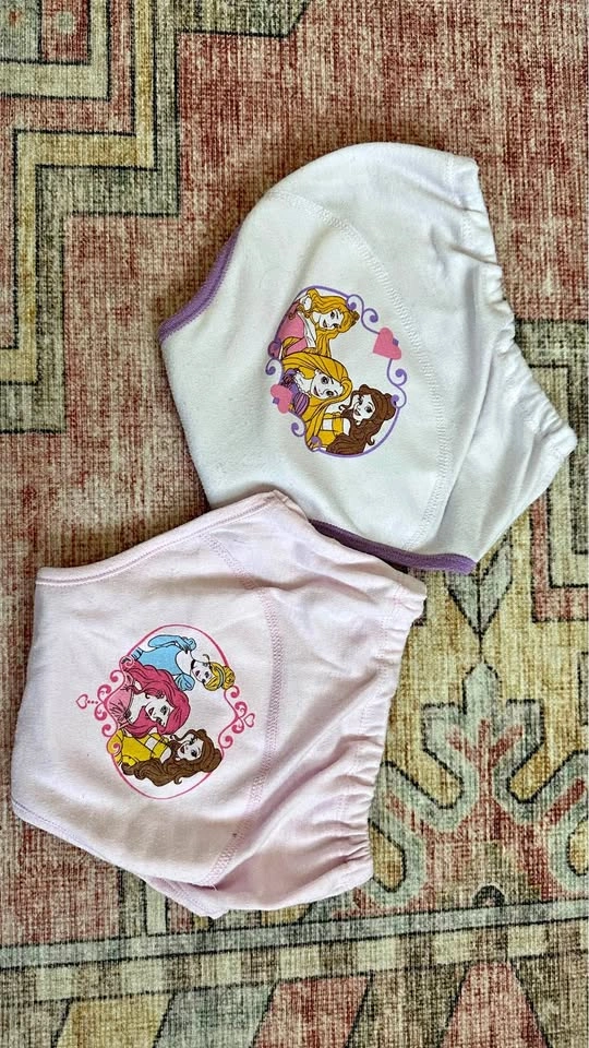 Disney Princess training pants 4T