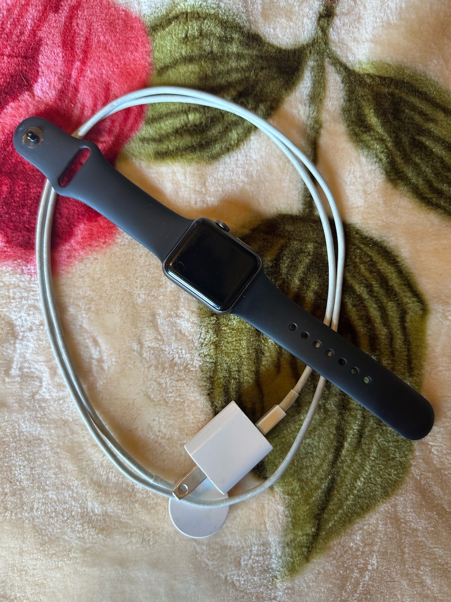 Apple Watch Series 3 - photo 4