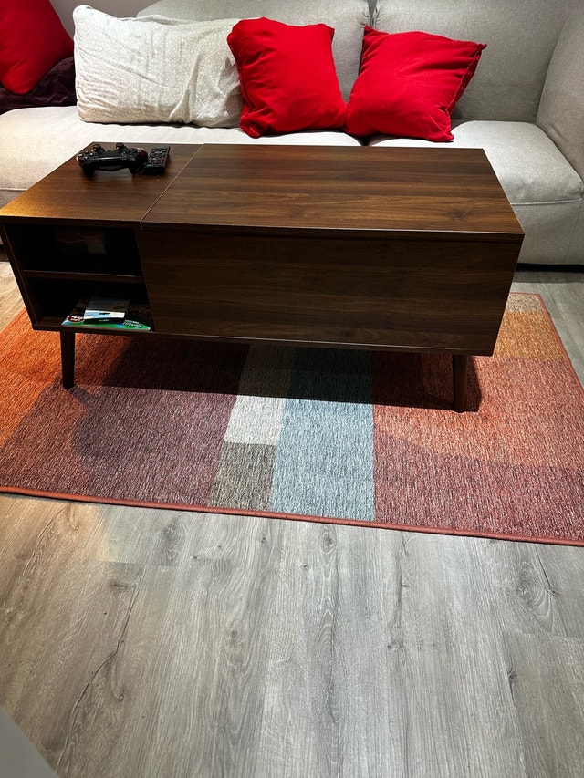 Cozey Shelly Rug- Geometric Pattern Rug