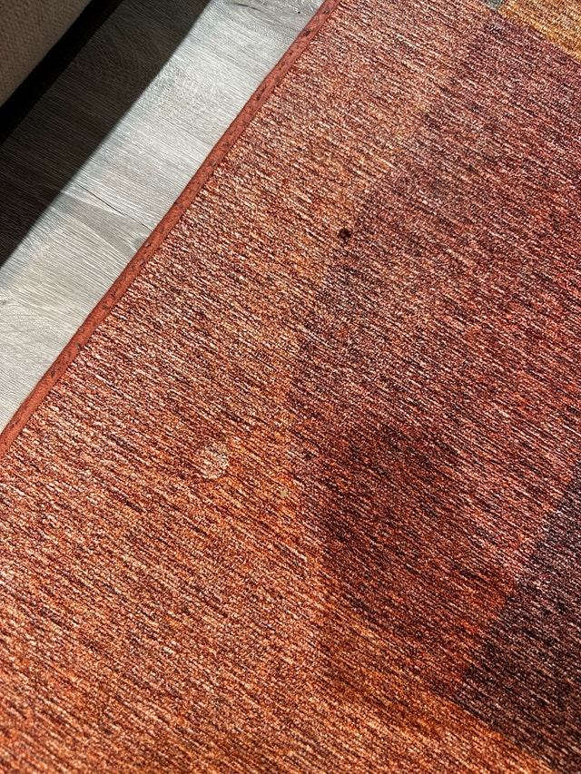 Cozey Shelly Rug- Geometric Pattern Rug - photo 3