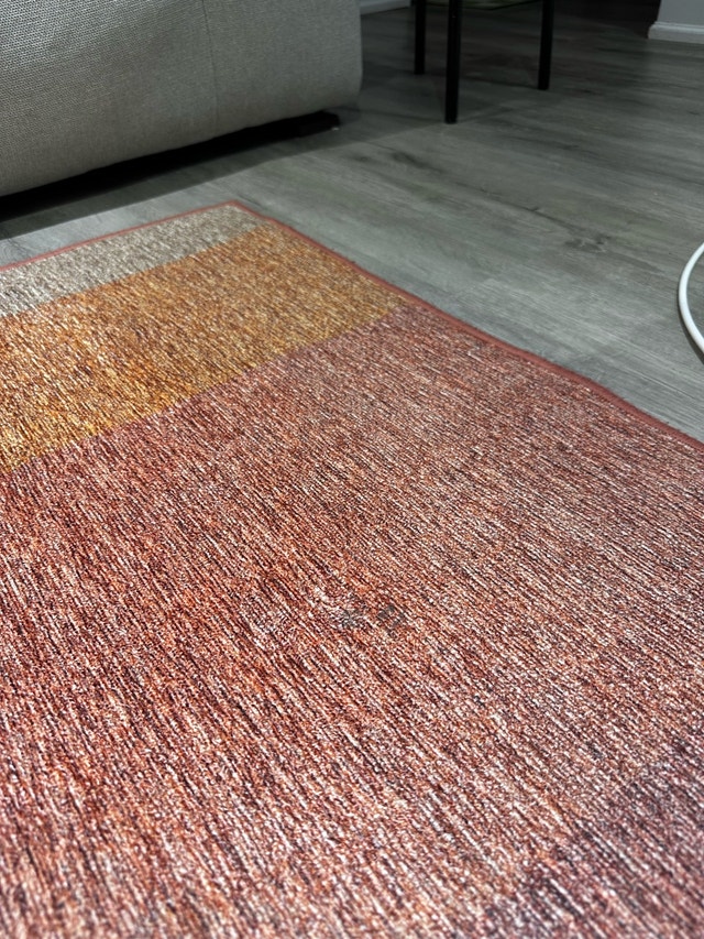 Cozey Shelly Rug- Geometric Pattern Rug - photo 4
