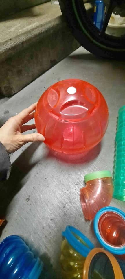 Hamster, gerbil or rodent free run ball