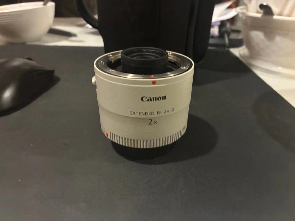 Canon extender EF 2x III - photo 4