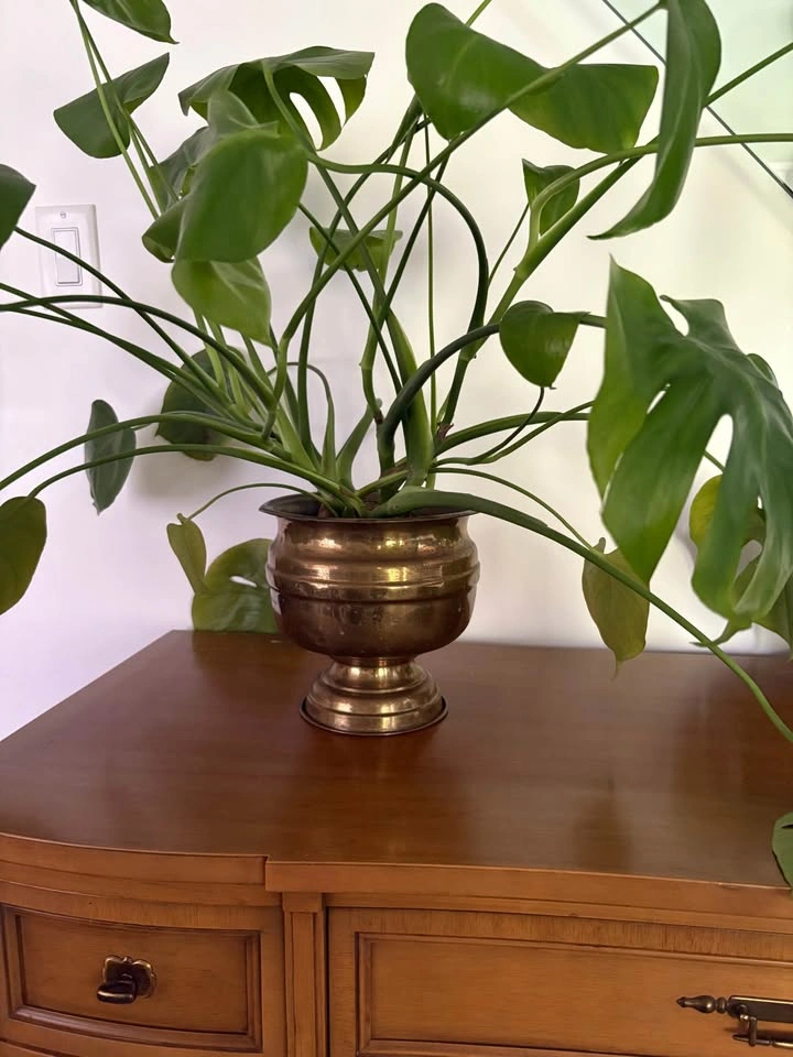 Vintage Brass Pedestal Planter - photo 2
