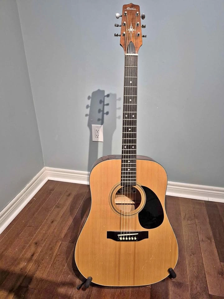 Acoustic Guitar with Stand, strap, bag