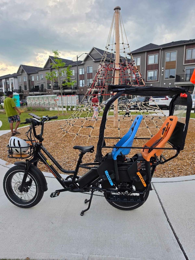 2025 RadWagon 5 Family Cargo E-Bike – Fully Loaded – Like New - photo 2