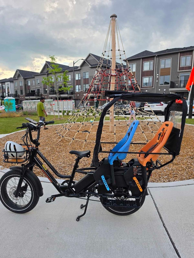 2025 RadWagon 5 Family Cargo E-Bike – Fully Loaded – Like New - photo 3