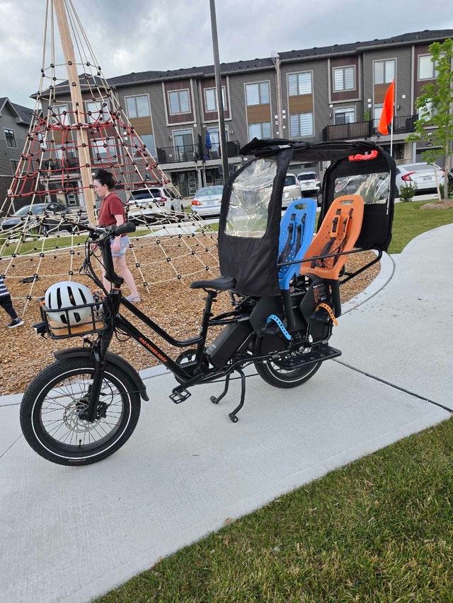 2025 RadWagon 5 Family Cargo E-Bike – Fully Loaded – Like New - photo 4