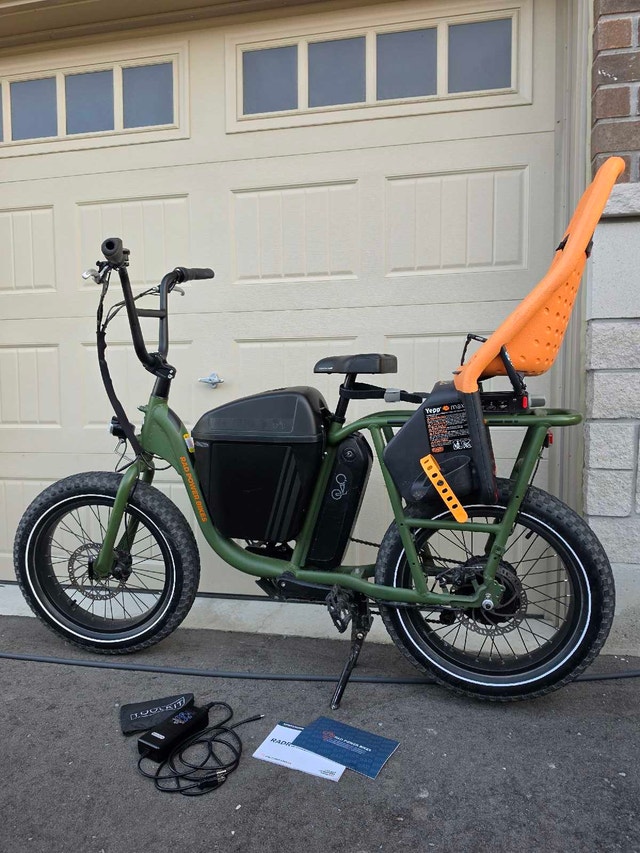 RadRunner 2020 Electric Utility Bike – Excellent Condition